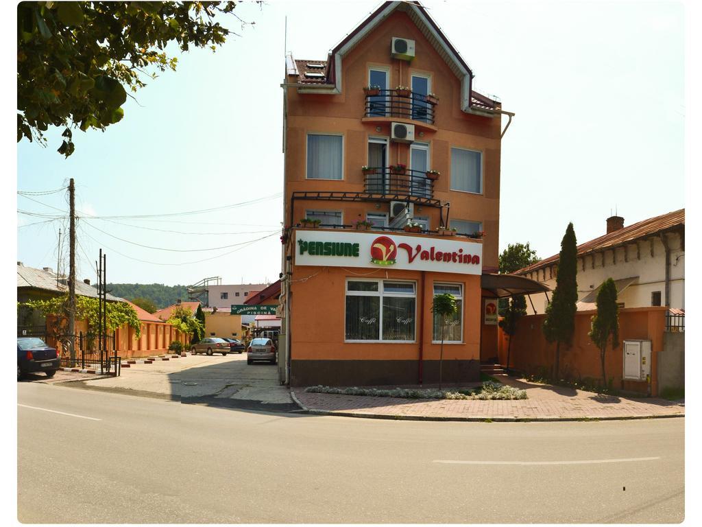 Hotel Pensiune Valentina à Râmnicu Vâlcea Extérieur photo